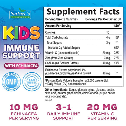 Kids Immune Support Gummies – Tägliche Vitamine C, Zink & Echinacea für Kinder ab 4 Jahren – Natürlicher Beerengeschmack, Nicht-GVO, Glutenfrei & Vegan – 120 Gummis