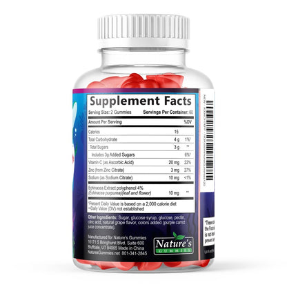Kids Immune Support Gummies – Tägliche Vitamine C, Zink & Echinacea für Kinder ab 4 Jahren – Natürlicher Beerengeschmack, Nicht-GVO, Glutenfrei & Vegan – 120 Gummis