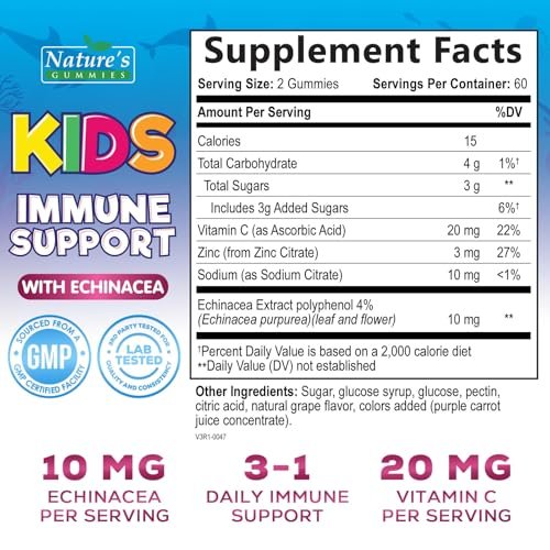 Kids Immune Support Gummies – Tägliche Vitamine C, Zink & Echinacea für Kinder ab 4 Jahren – Natürlicher Beerengeschmack, Nicht-GVO, Glutenfrei & Vegan – 120 Gummis