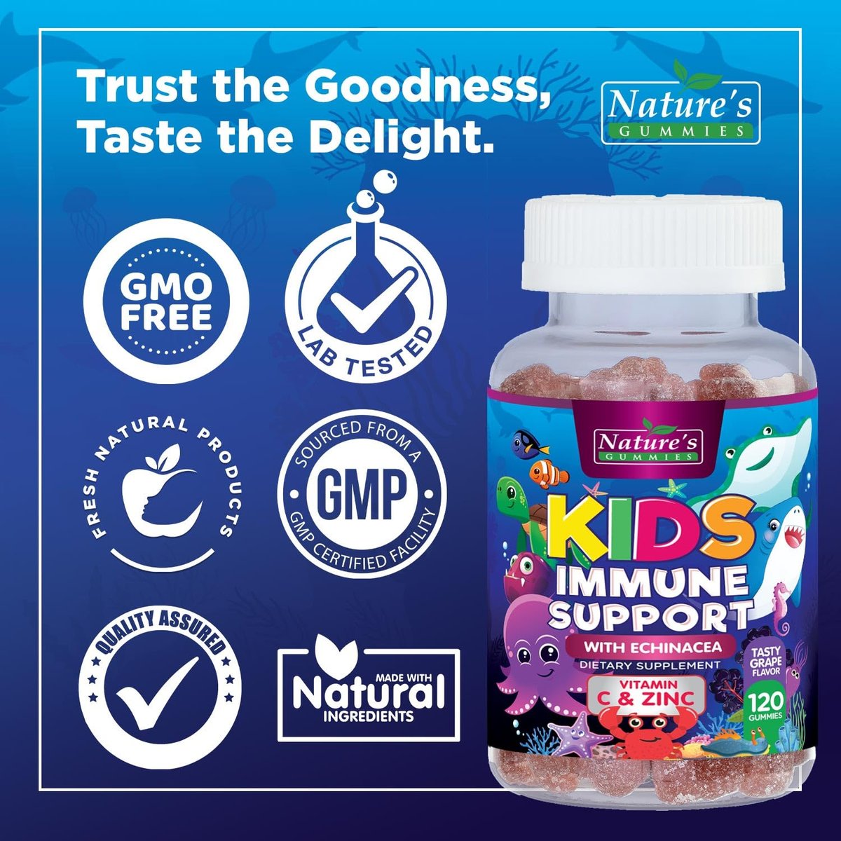 Kids Immune Support Gummies – Tägliche Vitamine C, Zink & Echinacea für Kinder ab 4 Jahren – Natürlicher Beerengeschmack, Nicht-GVO, Glutenfrei & Vegan – 120 Gummis