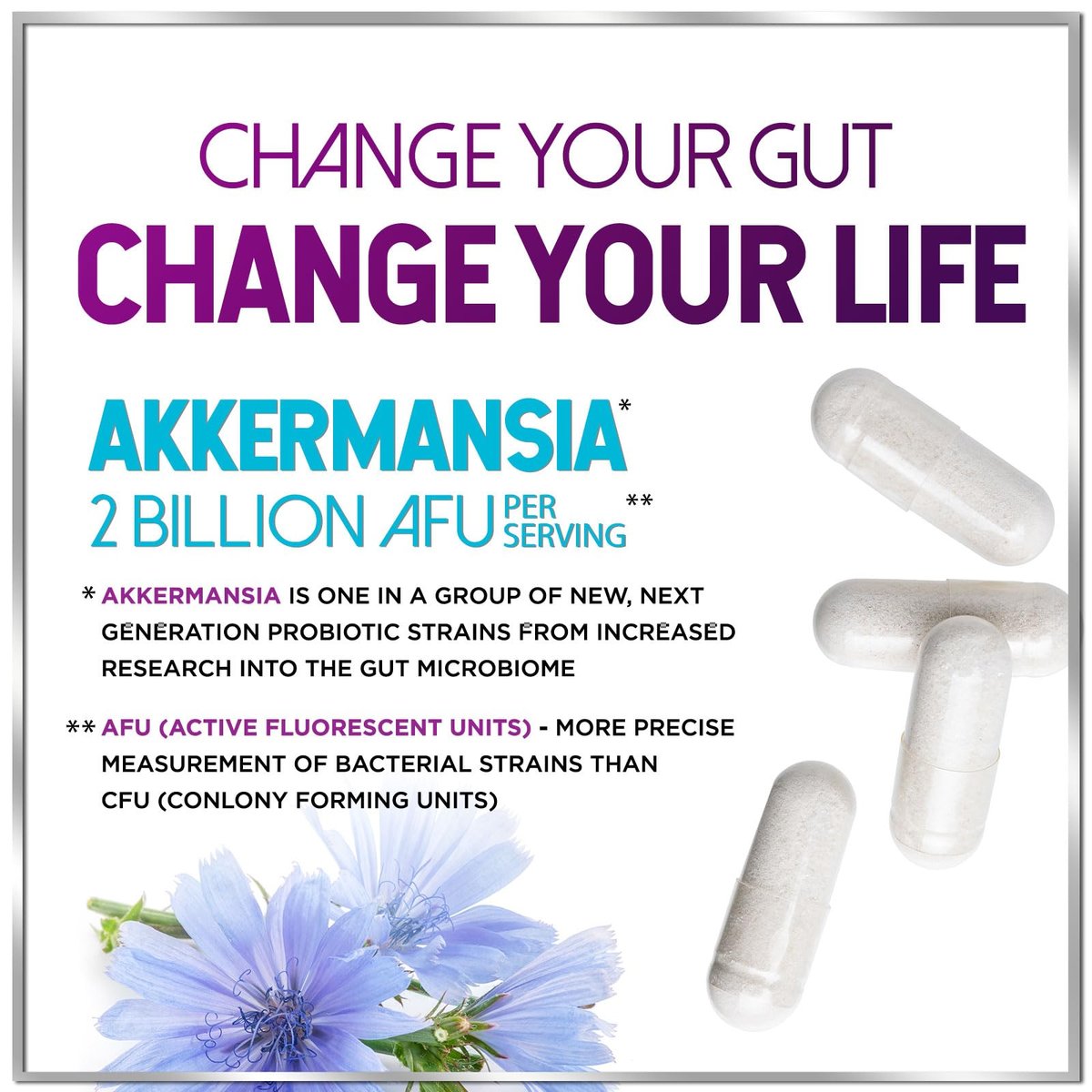 Akkermansia Probiotikum - 2 Milliarden AFU pro Portion - Bester Stamm zur Unterstützung der GLP-1-Produktion mit präbiotischen Fasern für natürliche Verdauung und Darmgesundheit - In den USA abgefüllt für Frauen und Männer - 120 Kapseln