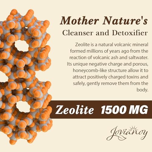 Jovianoy Zeolith Detox Kapseln, Bio Aktivkohle, Bentonit-Ton, 1-2 µm Klinoptilolith, Maximale Absorption, Darm-Leber-Detox-Reinigung für Männer und Frauen, 90 Kapseln