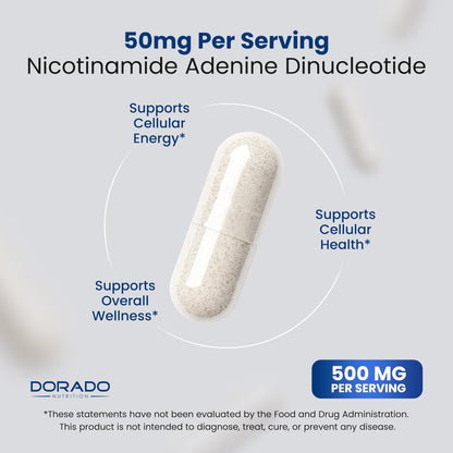 NAD+ Supplement 500mg – 95% reines NAD+ pro Portion | NMN & Nicotinamid-Ribosid Unterstützung | Vegan, Non-GMO, Ohne Füllstoffe, Laborgeprüft – 30 Kapseln