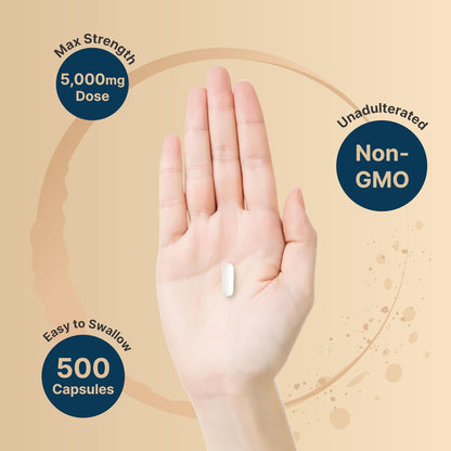NatureBell Creatin Monohydrat Kapseln 5.000 mg pro Portion, 500 Stück | Mikronisiert, unaromatisiert | Pre-Workout & Muskelkraft Unterstützung | Leicht zu schlucken, ohne Füllstoffe | 71 Portionen
