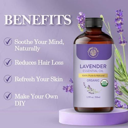 Carno Calm Bio-Lavendelöl Pur | USDA-zertifiziertes Lavendelöl für Haut, Diffuser, Aromatherapie & Haare, Massage & DIY-Anwendungen | 50 ml