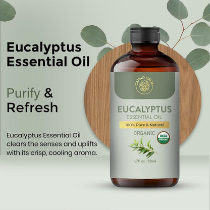 Carno Calm Beruhigendes Eukalyptus-Öl | USDA Bio-zertifiziertes Eukalyptusöl | Ideal für Aromatherapie, Haut und Haare | für Diffuser und DIY-Anwendungen | 50 ml