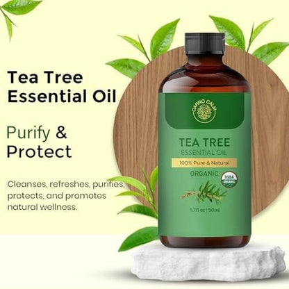 Carno Calm Teebaumöl für die Haut – 100% reines Bio-Teebaumöl für Gesicht, Kopfhaut, Nägel und Zehennägel – Therapeutisches Teebaumöl für Haarwachstum & Akne | 50 ml
