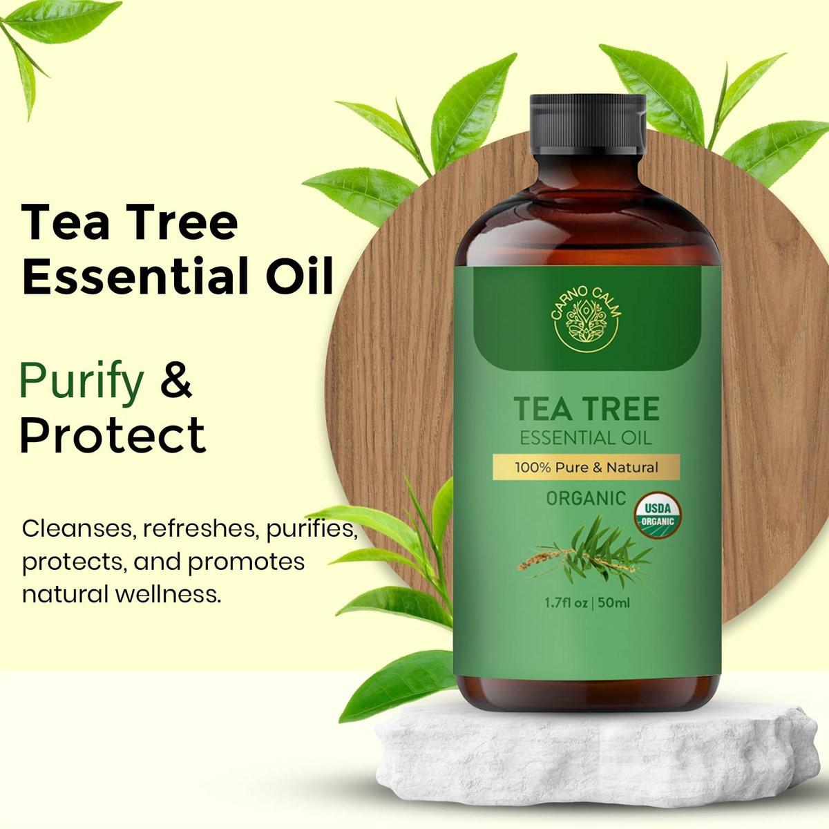 Carno Calm Teebaumöl für die Haut – 100% reines Bio-Teebaumöl für Gesicht, Kopfhaut, Nägel und Zehennägel – Therapeutisches Teebaumöl für Haarwachstum & Akne | 50 ml