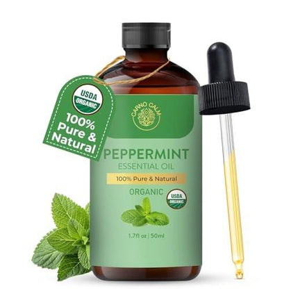 Carno Calm Bio-Pfefferminzöl – USDA-zertifiziertes Bio-Pfefferminzöl für Diffuser, Haut, Haare, Aromatherapie, Seifen- & Kerzenherstellung | 50 ml