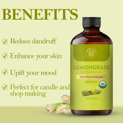 Carno Calm Bio-Lemongras-Öl | USDA-zertifiziertes ätherisches Lemongrasöl | für Aromatherapie, Haut & Haare | Diffuser, Seifen- & Kerzenherstellung | 1,7 fl. oz
