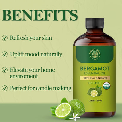 Carno Calm Bergamot Bio-Ätherisches Öl | USDA-zertifiziert biologisch | Bergamotte Öl für Haut, Haare, Aromatherapie, Seifen- & Kerzenherstellung | 50 ml