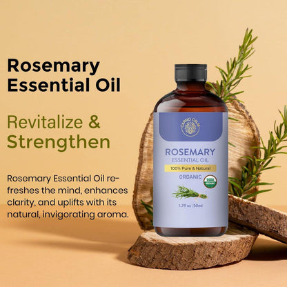 Carno Calm Bio Rosmarin Öl | USDA Bio Rosmarinöl für Haarwachstum und Haut | Aromatherapie & Diffuser | 50 ml