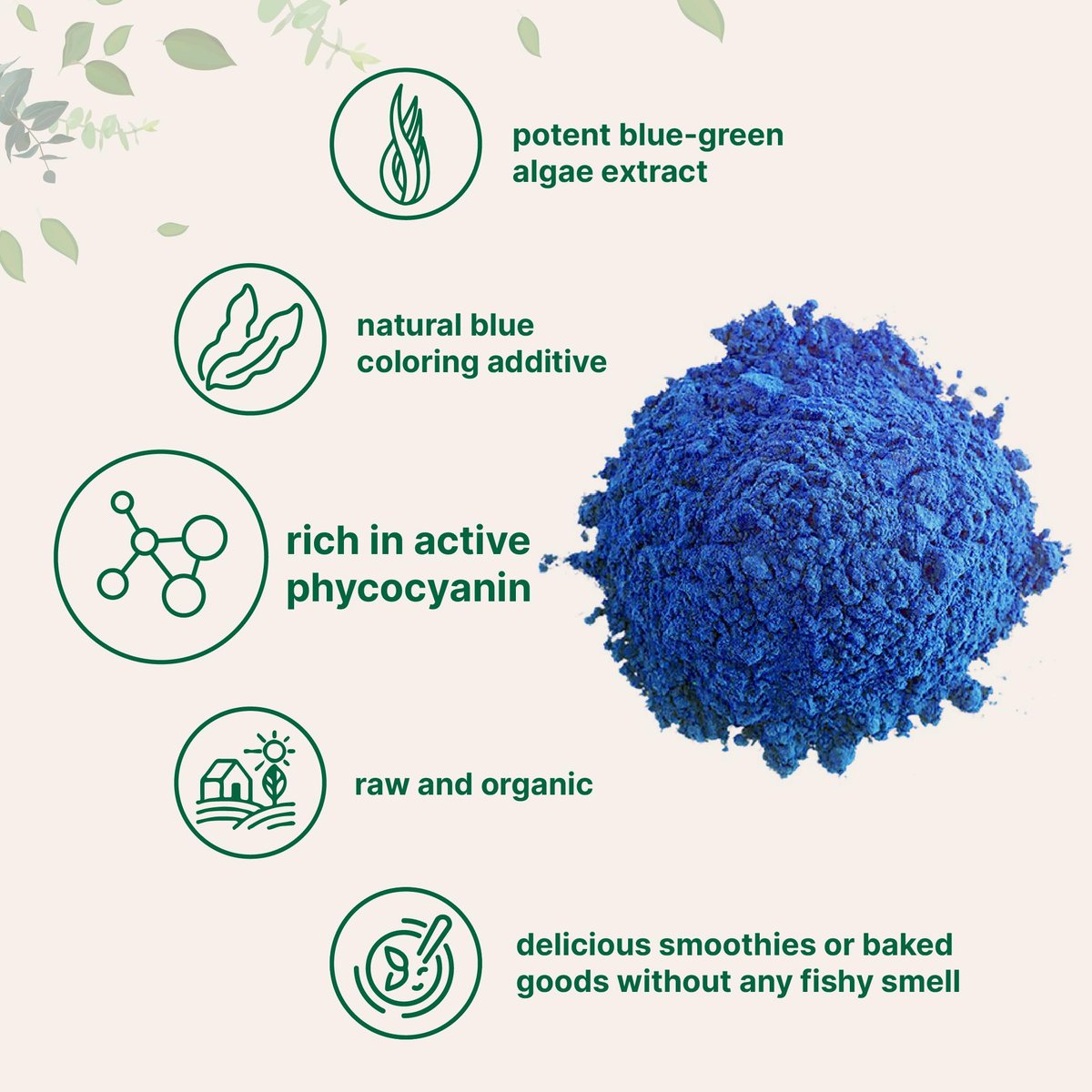 Bio Blue Spirulina Pulver (Phycocyanin-Extrakt), 30 Portionen – Kein Fischgeruch, 100% veganes Protein aus Blaualgen, Natürliche leuchtende Lebensmittelfarbe für Smoothies, Backen, Getränke & Kochen