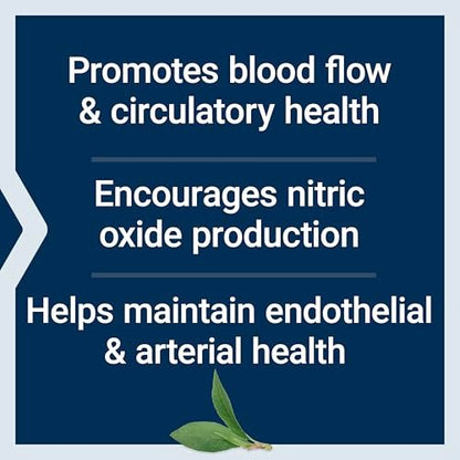 Life Extension NitroVasc™ Boost – Blutfluss-Supplement, Stickstoffmonoxid-Unterstützung, Herz-Kreislauf-Gesundheit, L-Arginin, glutenfrei, nicht-GVO, vegetarisch, 1 Messlöffel, 30 Portionen
