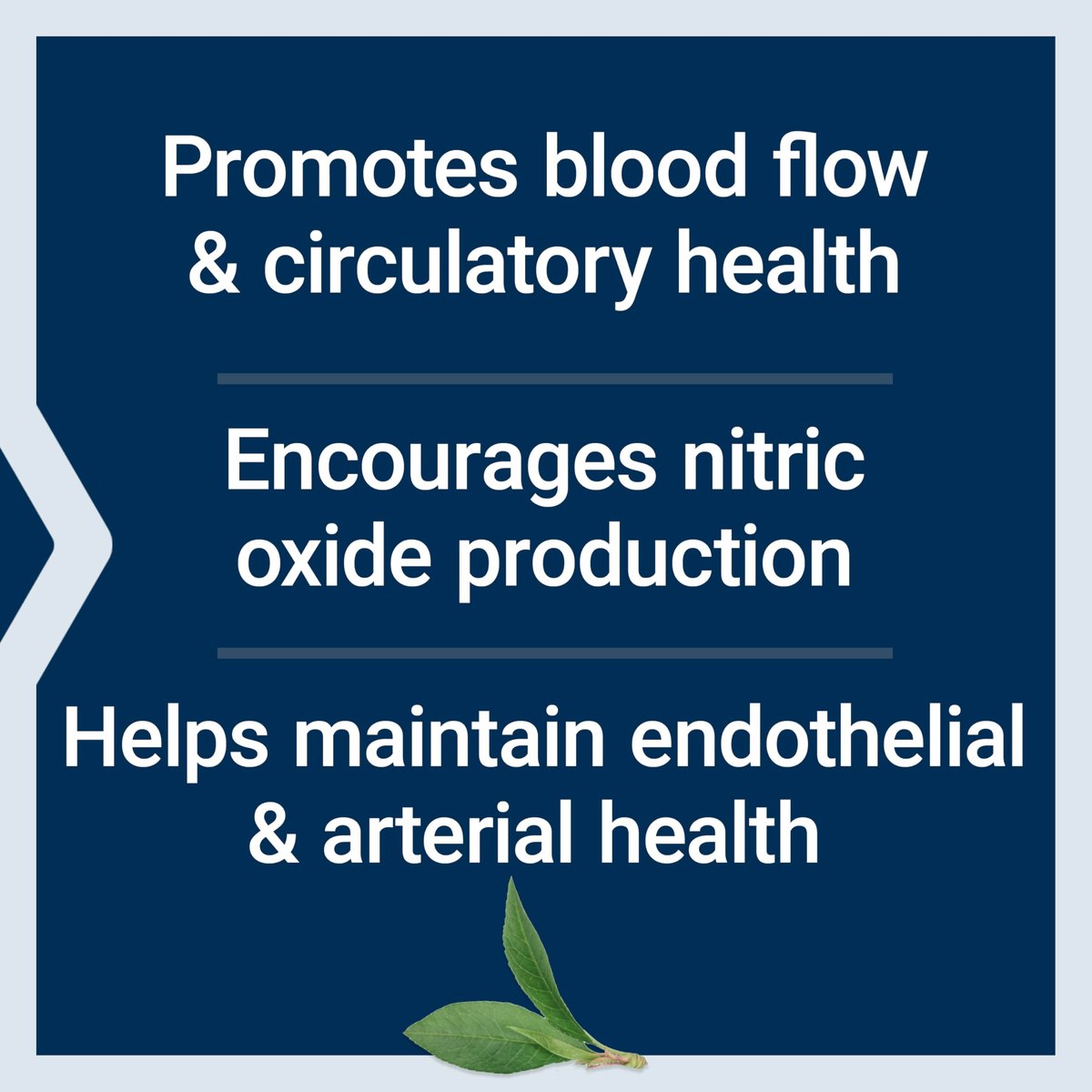 Life Extension NitroVasc™ Boost – Blutfluss-Supplement, Stickstoffmonoxid-Unterstützung, Herz-Kreislauf-Gesundheit, L-Arginin, glutenfrei, nicht-GVO, vegetarisch, 1 Messlöffel, 30 Portionen