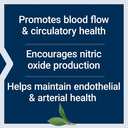 Life Extension NitroVasc™ Boost – Blutfluss-Supplement, Stickstoffmonoxid-Unterstützung, Herz-Kreislauf-Gesundheit, L-Arginin, glutenfrei, nicht-GVO, vegetarisch, 1 Messlöffel, 30 Portionen
