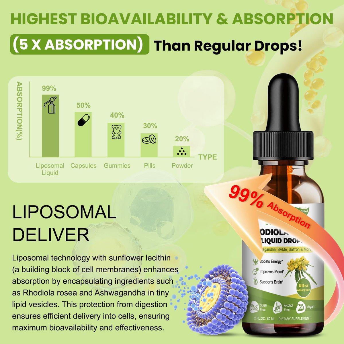 Totaria 16-in-1 Liposomales Rhodiola Rosea Präparat Tinktur 1000mg, Ultra-Stärke Rhodiola 10:1 Wurzelextrakt mit Ashwagandha, Rhodiola Flüssigtropfen für natürliche Entspannung, Stimmung, Energie, alkoholfrei
