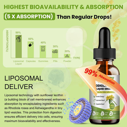 Totaria 16-in-1 Liposomales Rhodiola Rosea Präparat Tinktur 1000mg, Ultra-Stärke Rhodiola 10:1 Wurzelextrakt mit Ashwagandha, Rhodiola Flüssigtropfen für natürliche Entspannung, Stimmung, Energie, alkoholfrei