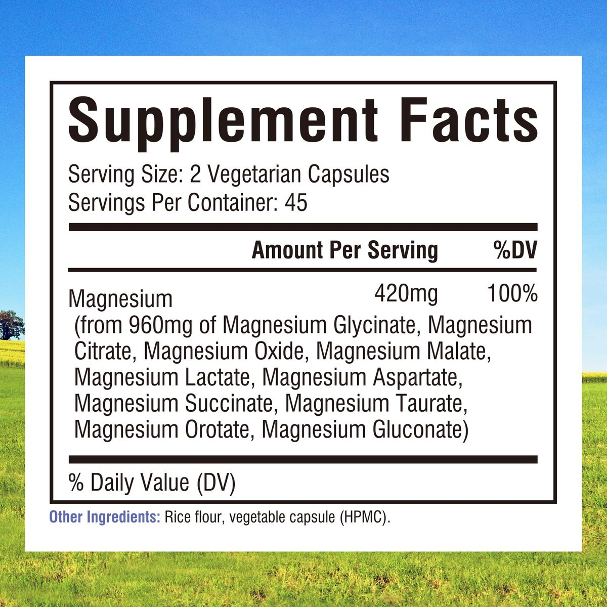 Innate Vitality 10-in-1 Magnesium Komplex 960 mg, 420 mg elementares Magnesium pro Portion, mit Magnesiumglycinat, Citrat, Malat und mehr, für Schlaf, Verdauung, Energie, 90 vegane Kapseln