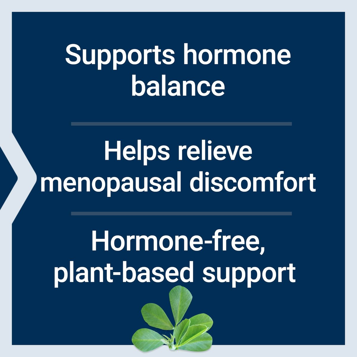 Life Extension Estrogen Balance Elite – Menopause Unterstützung, Hormonbalance, Hitzewallungen, Nachtschweiß, Trockenheit im Intimbereich, Glutenfrei, Non-GMO, Vegetarisch, 60 Tabletten
