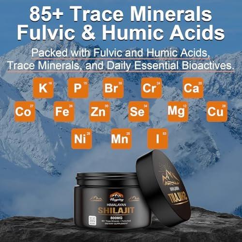 Shilajit Pure Himalayan Organic Resin - 800mg Gold Grade Shilajit Resin mit Fulvinsäure & 85+ Spurenelementen für Energie, Stärke & Immunität, Shilajit für Männer & Frauen, 800mg