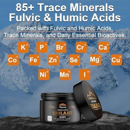 Shilajit Pure Himalayan Organic Resin - 800mg Gold Grade Shilajit Resin mit Fulvinsäure & 85+ Spurenelementen für Energie, Stärke & Immunität, Shilajit für Männer & Frauen, 800mg