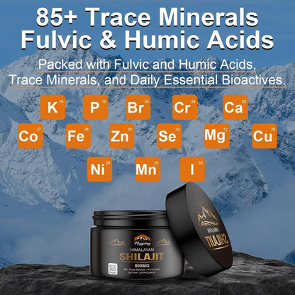 Shilajit Pure Himalayan Organic Resin - 800mg Gold Grade Shilajit Resin mit Fulvinsäure & 85+ Spurenelementen für Energie, Stärke & Immunität, Shilajit für Männer & Frauen, 800mg