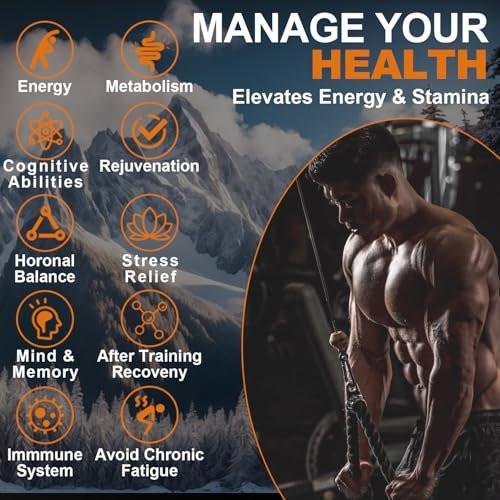 Shilajit Pure Himalayan Organic Resin - 800mg Gold Grade Shilajit Resin mit Fulvinsäure & 85+ Spurenelementen für Energie, Stärke & Immunität, Shilajit für Männer & Frauen, 800mg