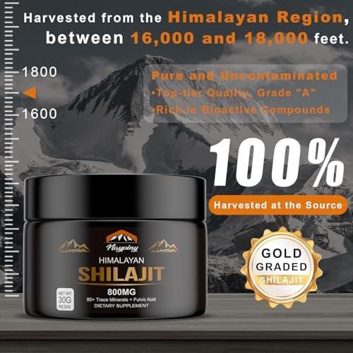 Shilajit Pure Himalayan Organic Resin - 800mg Gold Grade Shilajit Resin mit Fulvinsäure & 85+ Spurenelementen für Energie, Stärke & Immunität, Shilajit für Männer & Frauen, 800mg