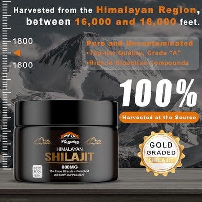 Shilajit Pure Himalayan Organic Resin - 800mg Gold Grade Shilajit Resin mit Fulvinsäure & 85+ Spurenelementen für Energie, Stärke & Immunität, Shilajit für Männer & Frauen, 800mg