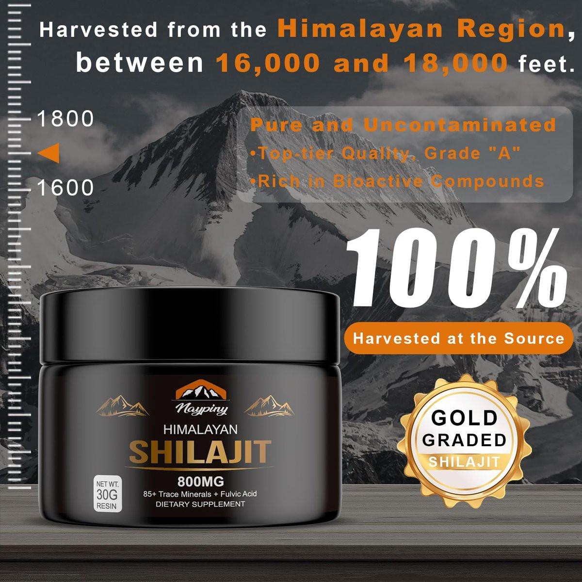 Shilajit Pure Himalayan Organic Resin - 800mg Gold Grade Shilajit Resin mit Fulvinsäure & 85+ Spurenelementen für Energie, Stärke & Immunität, Shilajit für Männer & Frauen, 800mg