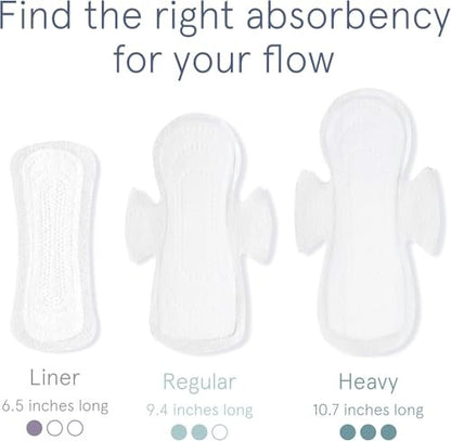 LOLA Ultradünne Baumwoll-Slipeinlagen für Frauen – Hypoallergene Slipeinlagen & tägliche leichte Pads – Unparfümierte Bio-Pads für Frauen – Packung mit 56, 16,5 cm
