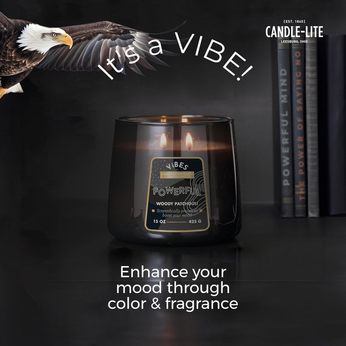 Candle-Lite Vibes Woody Patchouli Stimmungsaufhellende Duftkerzen, 425 g Glas, Aromatherapie, Stolz in den USA gegossen, 2 Dochte, 86 Stunden Brenndauer, Perfektes Entspannungsgeschenk