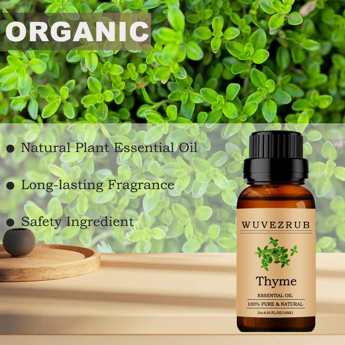 Thymian Ätherisches Öl 10 ml – 100 % rein und natürlich für Aromatherapie-Diffuser – 0,33 Fl Oz