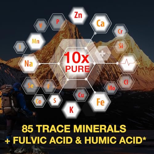 Shilajit Reines Himalaya Bio Harz Tropfen – Flüssiges Gold Nahrungsergänzungsmittel mit 85+ Spurenelementen für Männer & Frauen (2,02 Fl Oz / 60 ml)