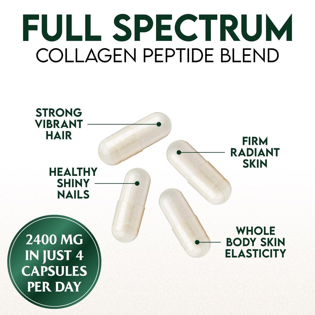 Multi-Kollagen Kapseln - Hydrolysierte Kollagenpeptide für Frauen & Männer - Typen I, II, III, V, X - Unterstützung für Haare, Haut & Nägel - Hergestellt in den USA - 60 Kapseln