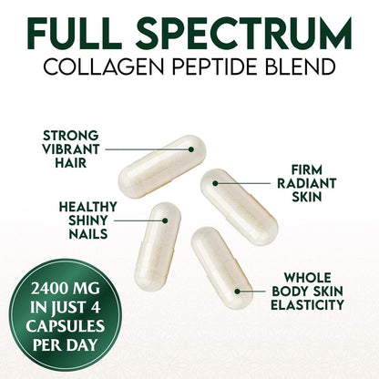 Multi-Kollagen Kapseln - Hydrolysierte Kollagenpeptide für Frauen & Männer - Typen I, II, III, V, X - Unterstützung für Haare, Haut & Nägel - Hergestellt in den USA - 60 Kapseln