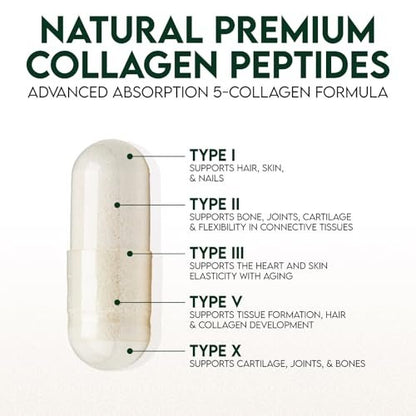 Multi-Kollagen Kapseln - Hydrolysierte Kollagenpeptide für Frauen & Männer - Typen I, II, III, V, X - Unterstützung für Haare, Haut & Nägel - Hergestellt in den USA - 60 Kapseln