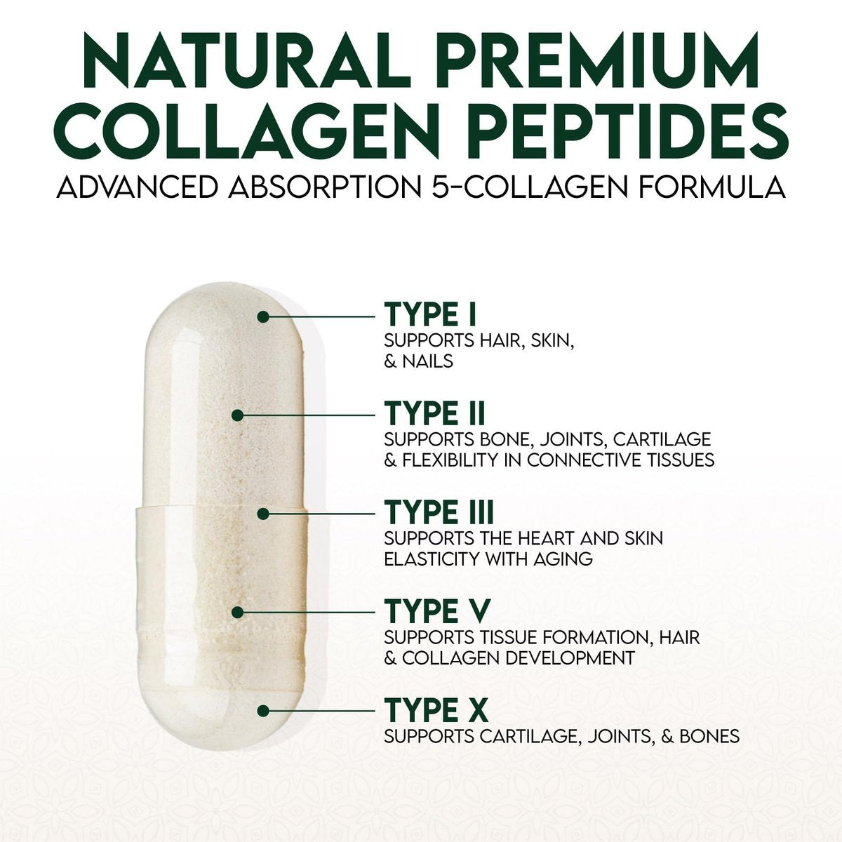 Multi-Kollagen Kapseln - Hydrolysierte Kollagenpeptide für Frauen & Männer - Typen I, II, III, V, X - Unterstützung für Haare, Haut & Nägel - Hergestellt in den USA - 60 Kapseln