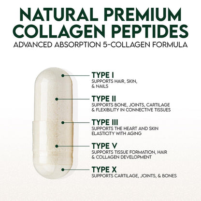 Multi-Kollagen Kapseln - Hydrolysierte Kollagenpeptide für Frauen & Männer - Typen I, II, III, V, X - Unterstützung für Haare, Haut & Nägel - Hergestellt in den USA - 60 Kapseln