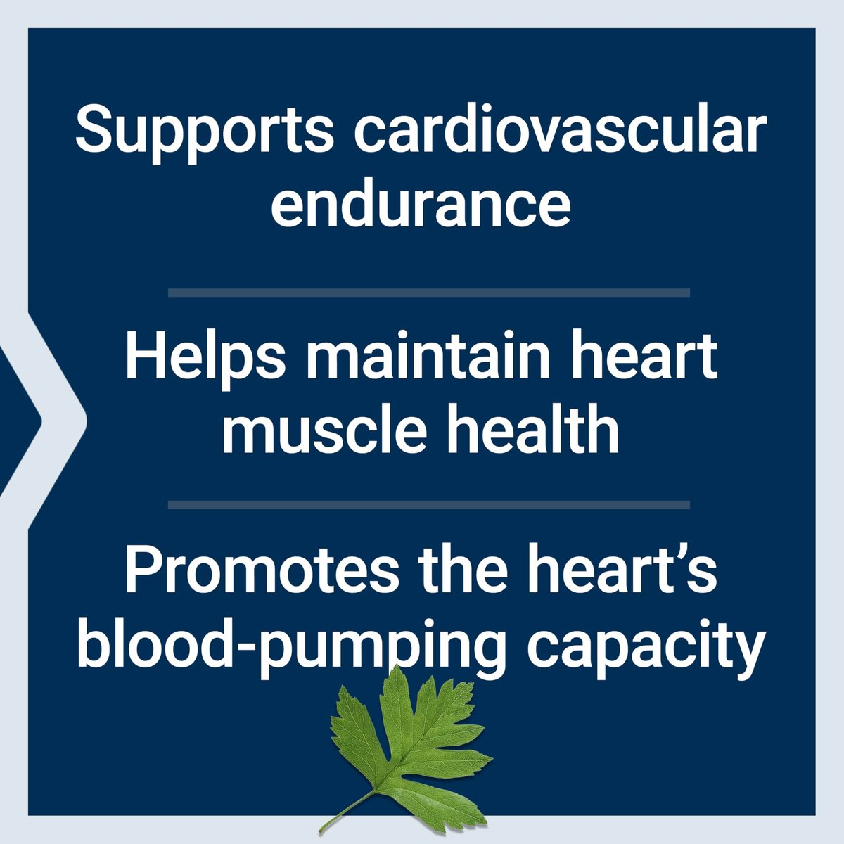 Life Extension Cardio Peak – Herz-Kreislauf-Supplement mit Arjuna, 1 Kapsel täglich, glutenfrei, nicht-GVO, vegetarisch, 30 Kapseln