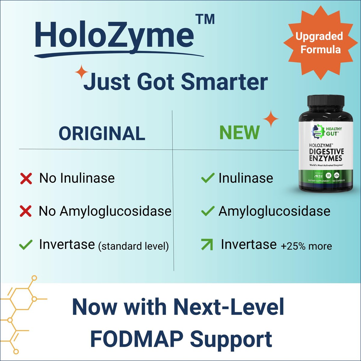 Healthy Gut HoloZyme Max Strength Verdauungsenzyme | FODMAP-freundliche Formel gegen Blähungen, Gas und Verdauungsstörungen mit Protease, Amylase, Lipase, Lactase und mehr | 15 Portionen (Probegröße)
