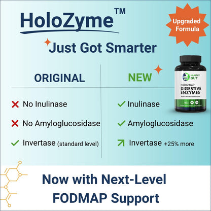 Healthy Gut HoloZyme Max Strength Verdauungsenzyme | FODMAP-freundliche Formel gegen Blähungen, Gas und Verdauungsstörungen mit Protease, Amylase, Lipase, Lactase und mehr | 15 Portionen (Probegröße)