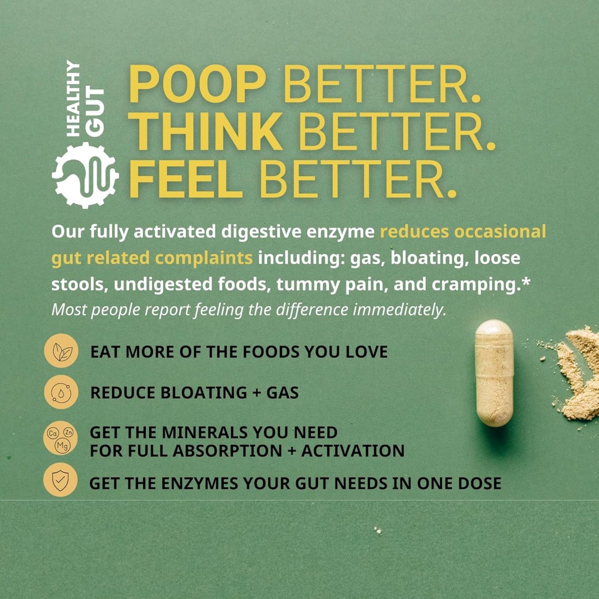 Healthy Gut HoloZyme Max Strength Verdauungsenzyme | FODMAP-freundliche Formel gegen Blähungen, Gas und Verdauungsstörungen mit Protease, Amylase, Lipase, Lactase und mehr | 15 Portionen (Probegröße)