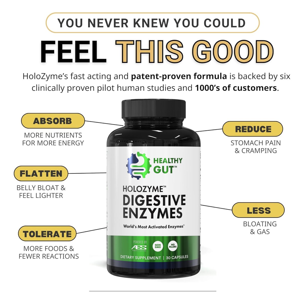 Healthy Gut HoloZyme Max Strength Verdauungsenzyme | FODMAP-freundliche Formel gegen Blähungen, Gas und Verdauungsstörungen mit Protease, Amylase, Lipase, Lactase und mehr | 15 Portionen (Probegröße)