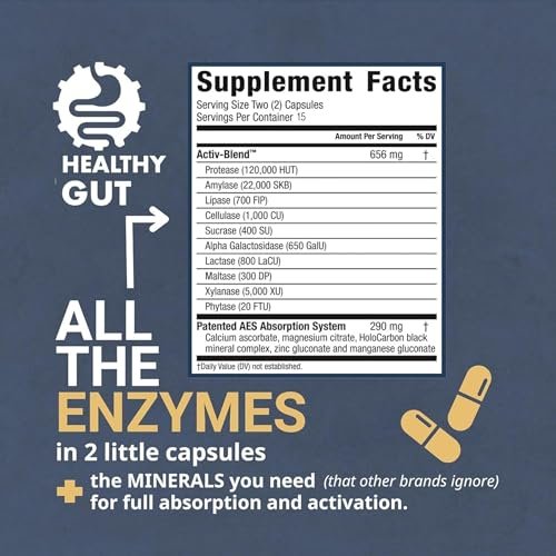 Healthy Gut HoloZyme Max Strength Verdauungsenzyme | FODMAP-freundliche Formel gegen Blähungen, Gas und Verdauungsstörungen mit Protease, Amylase, Lipase, Lactase und mehr | 15 Portionen (Probegröße)