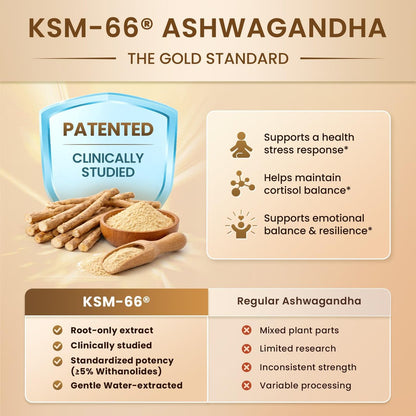 10-IN-1 Cortisol-Blocker mit KSM-66® Ashwagandha 300 mg + L-Theanin 250 mg, Magnesiumglycinat, Safran, Phosphatidylserin, Kurkuma & Vitamin C D3 B6 B5 – für Frauen & Männer, 120 Kapseln (60-Tage-Vorrat)
