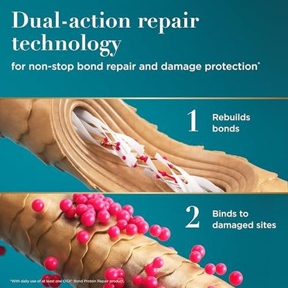 OGX Repair & Protect Bond Protein Repair Versiegelndes Haarserum – ohne Parabene, Anti-Frizz, 50 ml