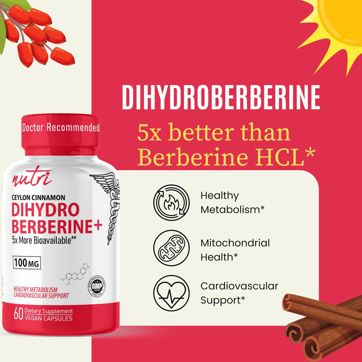 Nutri Dihydroberberin 100mg – 60 Kapseln mit 300mg Bio-Ceylon-Zimtextrakt – 54x bioverfügbarer als normales Berberin HCL – 3. Partei getestet – NSF-zertifizierte Einrichtung