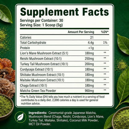 Suiyilary Mushroom Matcha – Zeremonieller Matcha-Pulver mit 7 Superfood-Pilzen, glutenfrei, 150 g (30 Portionen)